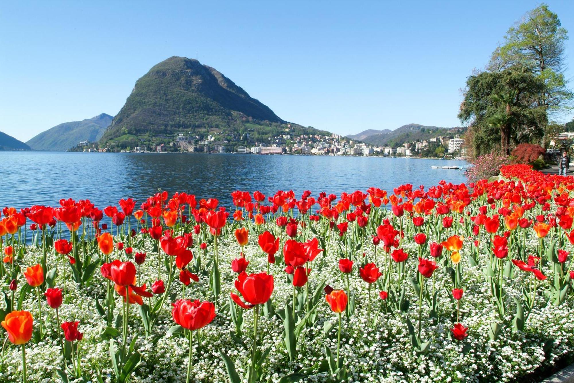 Ferienhaus In Lugano - Happy Rentals ภายนอก รูปภาพ